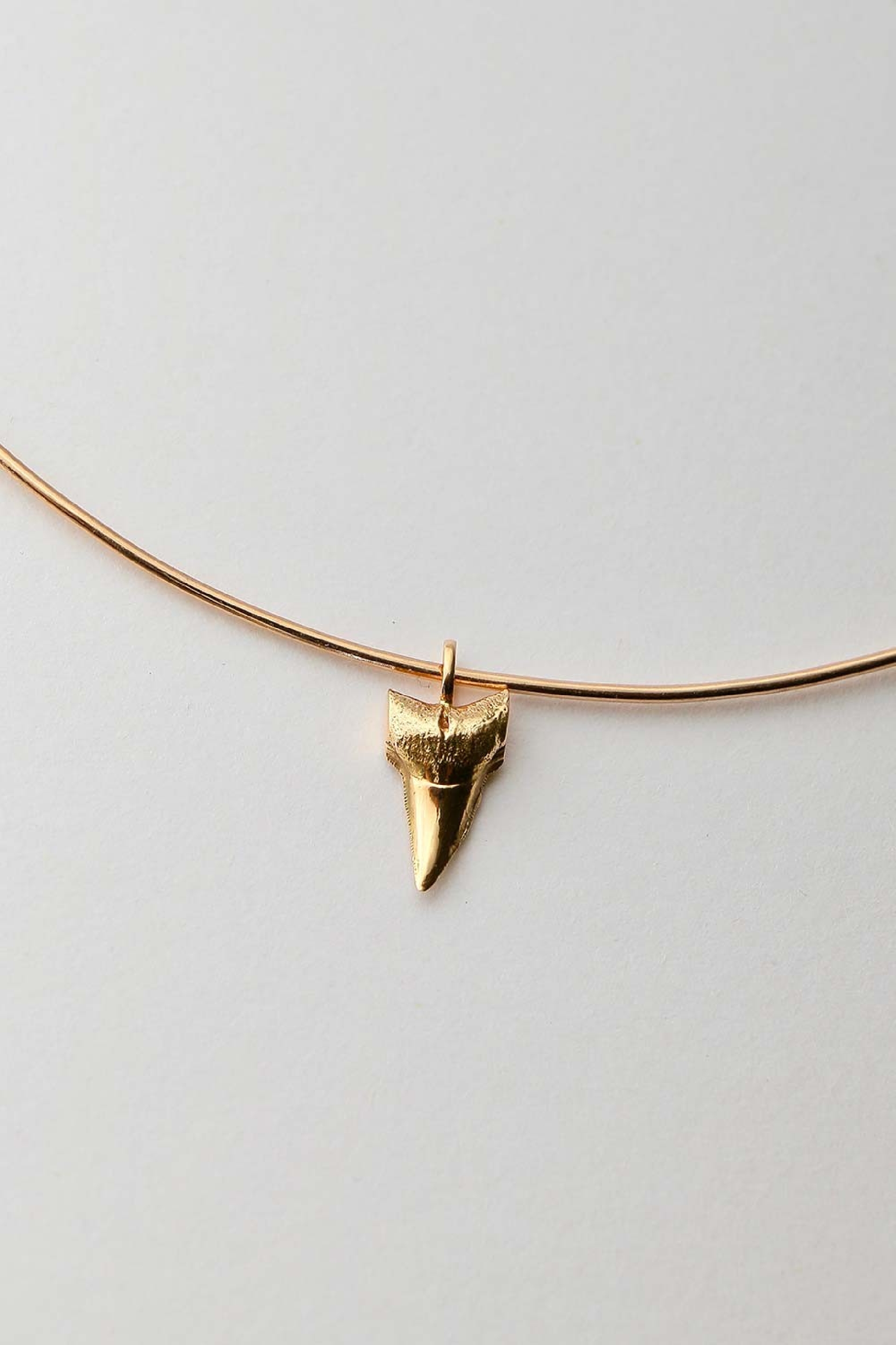 Shark tooth