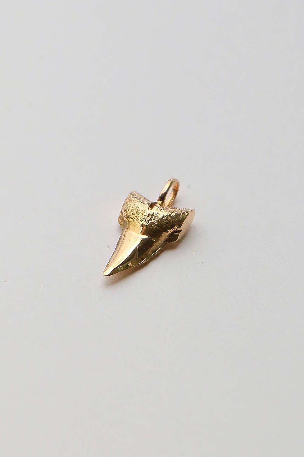 Shark tooth